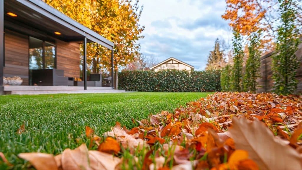 Dernière tonte avant l’hiver : le bon moment pour éviter les mauvaises surprises