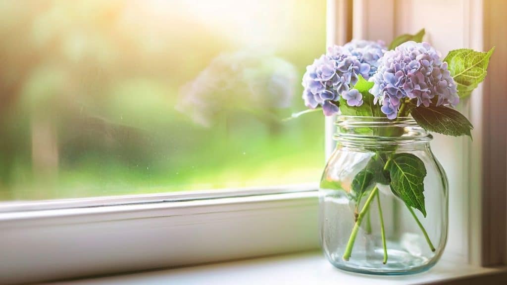 Peut-on vraiment bouturer un hortensia dans un simple verre d’eau ?