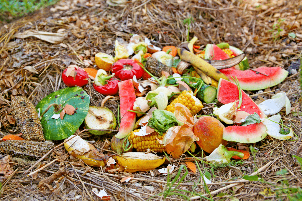 Les mouches ont disparu tout l’été grâce à deux épices glissées dans un coin du compost