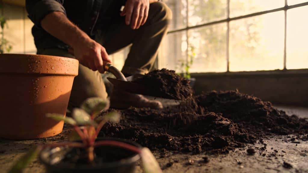 Jardinier accroupi répand du compost sombre au sol