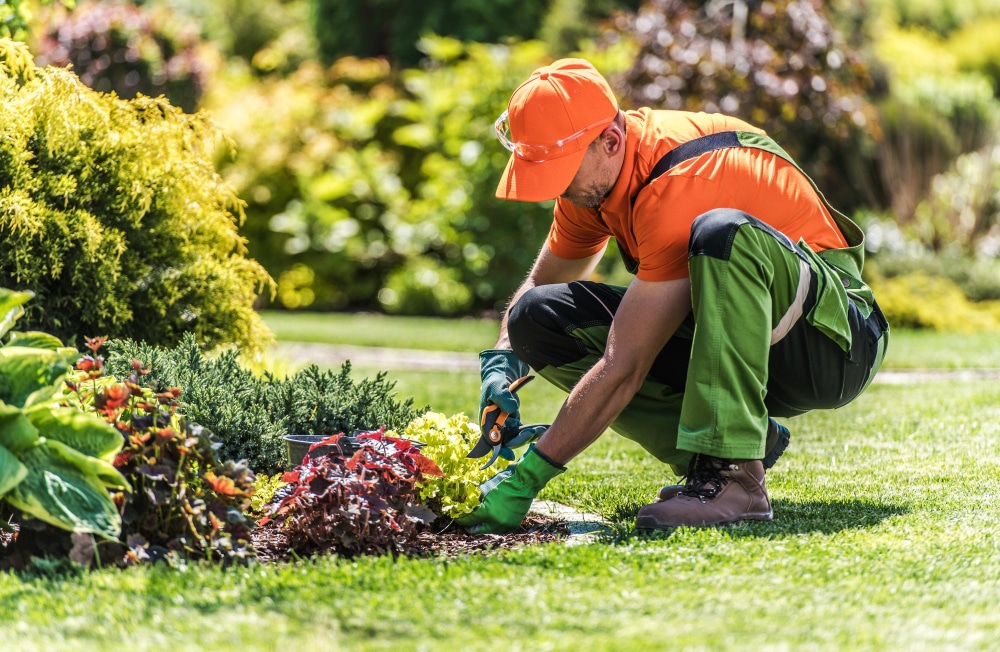 Pourquoi faire appel à un service de jardinage à domicile