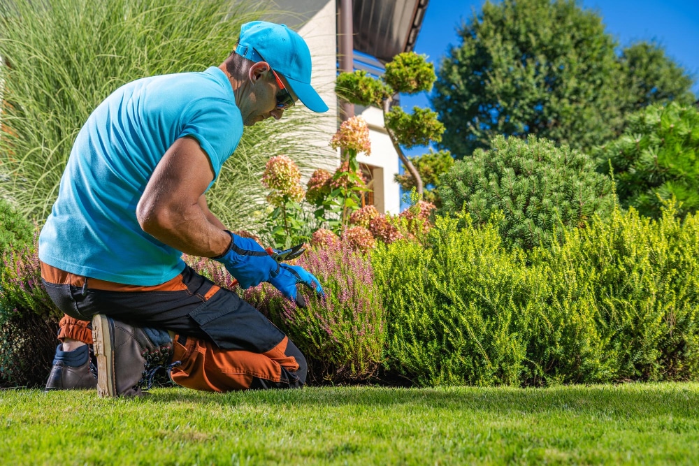 Service de jardinage à domicile