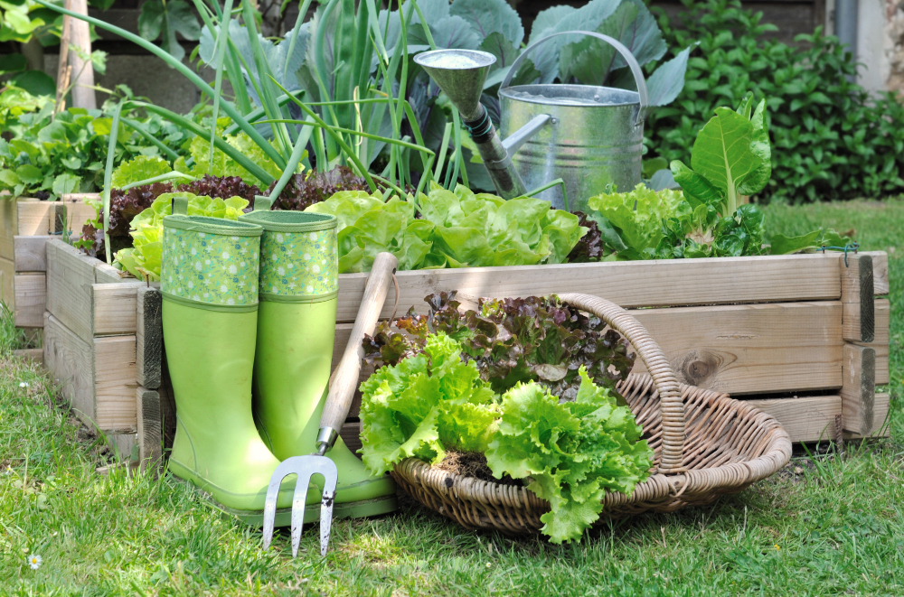 Créer un micro-zonage pour optimiser chaque jardinière